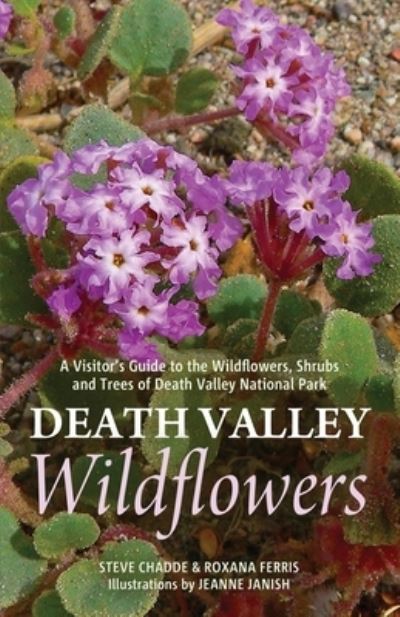 Cover for Steve W Chadde · Death Valley Wildflowers (Paperback Book) (2020)