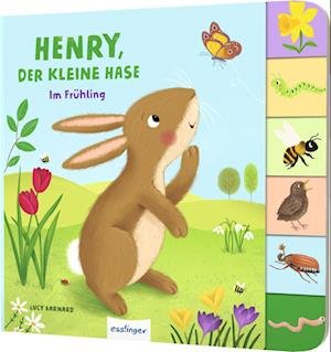 Cover for Anja Kiel · Mein erstes Jahreszeitenbuch: Henry, der kleine Hase (Book) (2023)