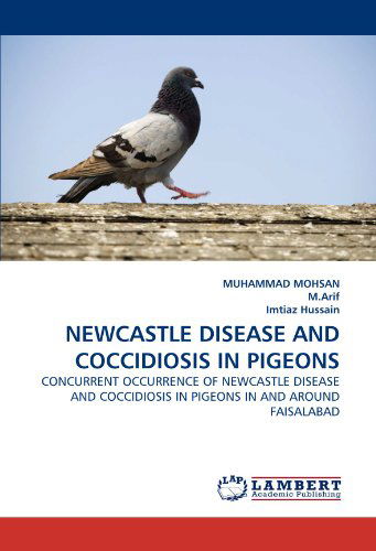 Cover for Imtiaz Hussain · Newcastle Disease and Coccidiosis in Pigeons: Concurrent Occurrence of Newcastle Disease and Coccidiosis in Pigeons in and Around Faisalabad (Paperback Book) (2010)