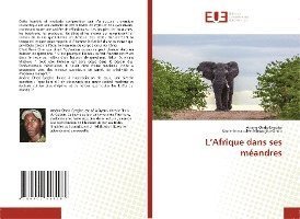 Cover for Ondo-Eyeghe · L'Afrique dans ses méandres (Book)