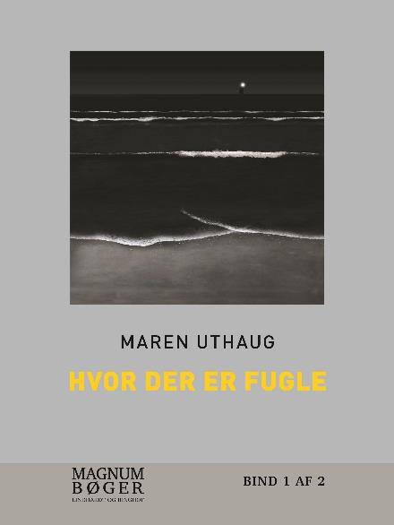 Hvor der er fugle - Maren Uthaug - Bøger - Saga - 9788711852187 - 10. oktober 2017