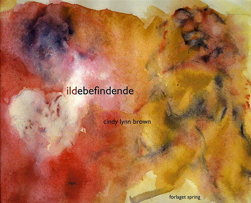 Cover for Cindy Lynn Brown · Ildebefindende (Bound Book) [1st edition] [Indbundet] (2010)