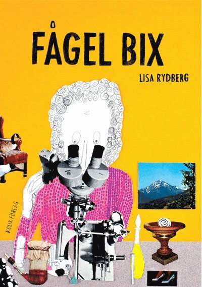 Cover for Lisa Rydberg · Fågel Bix (Paperback Book) (2012)