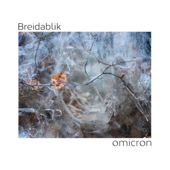 Cover for Breidablik · Omicron (CD) (2020)