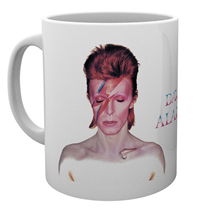 David Bowie Aladdin Sane Mug - David Bowie - Boeken - ABYSSE UK - 5028486369188 - 1 maart 2024