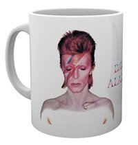 David Bowie Aladdin Sane Mug - David Bowie - Bøger - ABYSSE UK - 5028486369188 - 1. marts 2024