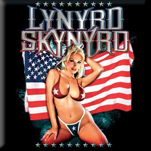 Cover for Lynyrd Skynyrd · Lynyrd Skynyrd Fridge Magnet: American Flag (Magnes)