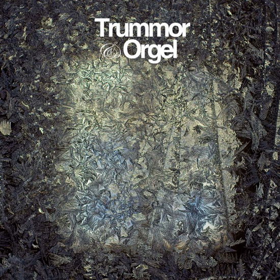 Cover for Trummor and Orgel · Visions (CD) (2009)