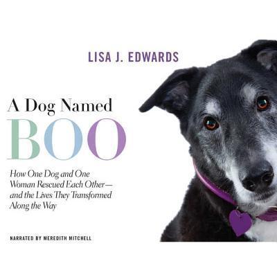 Cover for Lisa Edwards · A Dog Named Boo Lib/E : How One Dog and One Woman Rescued Each Other-And the Lives They Transformed Along the Way (CD) (2012)