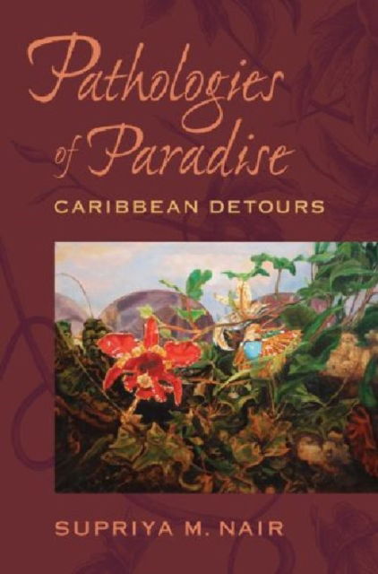 Cover for Supriya M. Nair · Pathologies of Paradise: Caribbean Detours - New World Studies (Paperback Book) (2013)