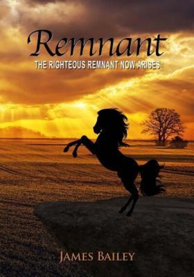 Cover for James Bailey · Remnant (Pocketbok) (2019)