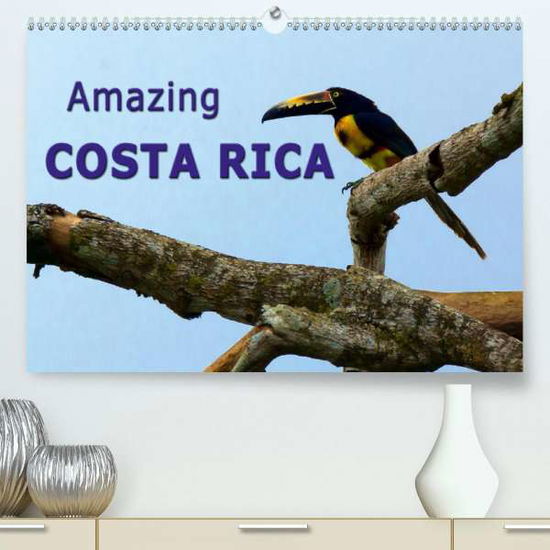 Cover for Schoen · Amazing Costa Rica (Premium, hoc (Book)