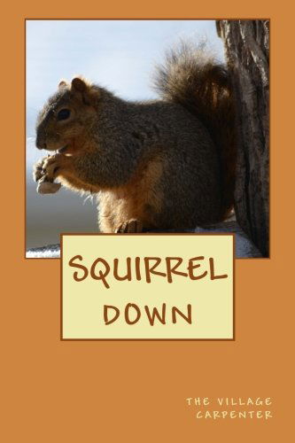 Cover for Charles Lee Emerson · Squirrel Down (Taschenbuch) (2013)