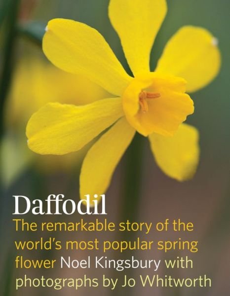 Cover for Noel Kingsbury · Daffodil: the Remarkable Story of the World's Most Popular Spring Flower (Hardcover Book) (2013)