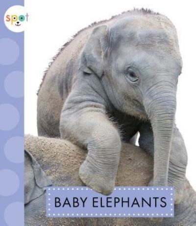 Cover for K C Kelley · Baby Elephants (Hardcover Book) (2018)