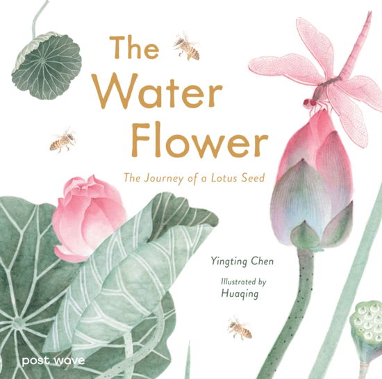 Cover for Yingting Chen · The Water Flower: The Journey of a Lotus Seed (Hardcover Book) (2025)