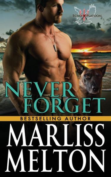 Cover for Marliss Melton · Never Forget (Paperback Book) (2016)