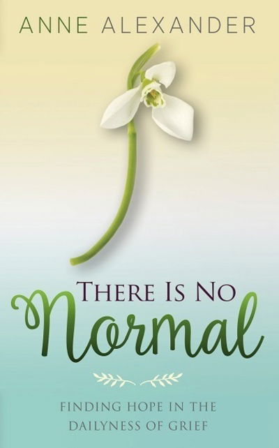 Cover for Anne Alexander · There Is No Normal (Paperback Book) (2018)