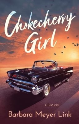 Cover for Barbara Meyer Link · Chokecherry Girl (Paperback Book) (2021)