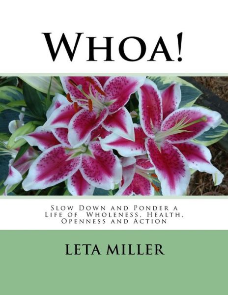 Cover for Leta Miller · Whoa! (Paperback Book) (2017)