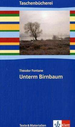 Cover for T. Fontane · Unterm Birnbaum.Tachenbüch. (Book)