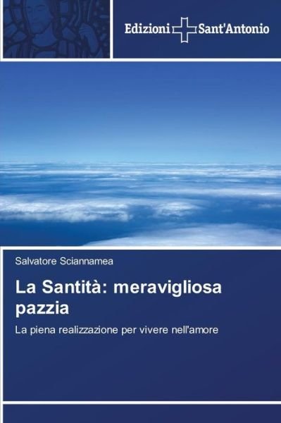 Cover for Salvatore Sciannamea · La Santità: Meravigliosa Pazzia (Paperback Book) [Italian edition] (2014)