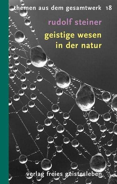 Cover for Rudolf Steiner · Steiner Themen-TB.18 Geistige Wesen (Book)