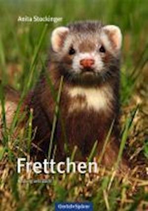 Cover for Anita Stockinger · Frettchen (Hardcover Book) (2011)