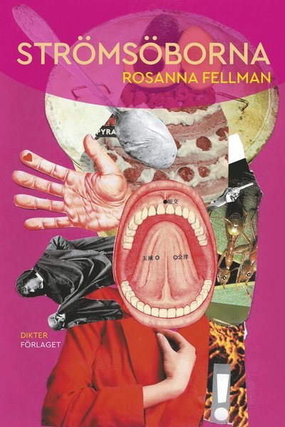 Strömsöborna - Fellman Rosanna - Books - Förlaget M - 9789523332188 - September 15, 2019