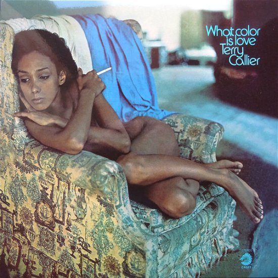 Cover for Terry Callier · What Color Is Love (LP) (2015)