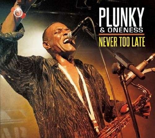 Never Too Late - Plunky & Oneness - Música - N.A.M.E. BRAND RECORDS - 0888295028189 - 11 de febrero de 2014