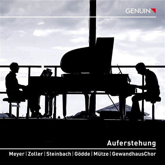 Cover for Mahler / Meyer / Zoller · Auferstehung (CD) (2023)