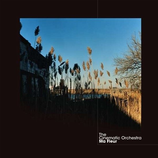 Cover for Cinematic Orchestra · Ma Fleur (LP) [Standard edition] (2007)