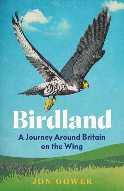 Cover for Jon Gower · Birdland: A Journey Around Britain on the Wing (Hardcover Book) (2025)