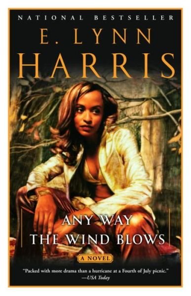 Cover for E. Lynn Harris · Any Way the Wind Blows (Paperback Book) (2002)