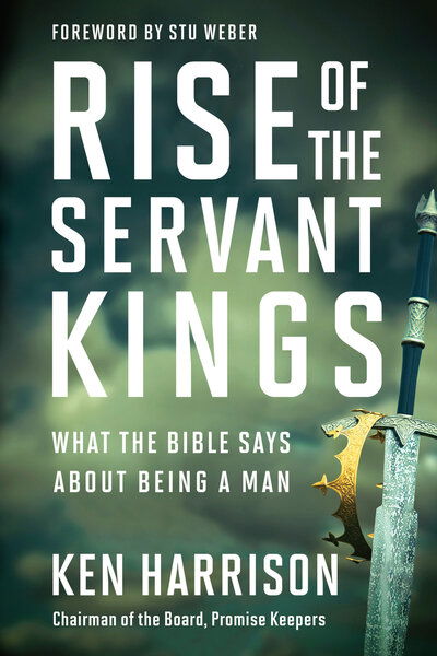 Cover for Ken Harrison · Rise of the Servant Kings (Hardcover Book) (2019)