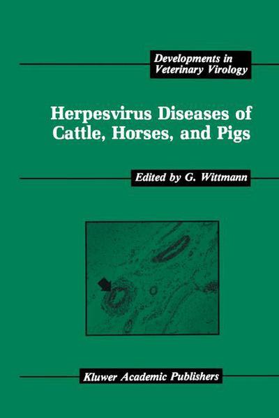 Cover for G. Wittmann · Herpesvirus Diseases of Cattle, Horses and Pigs - Developments in Veterinary Virology (Hardcover Book) (1989)