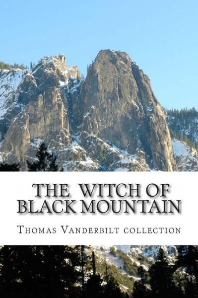 Cover for Danny Davis · The Witch of Black Mountain (Paperback Book) (2011)