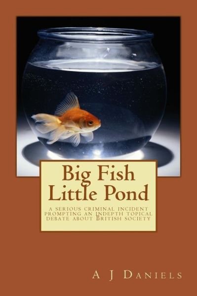 Big Fish Little Pond: Brought Together by a Government Cell As a Result of Serious Crime the Characters Are Passionate About Issues at the H - Mr a J Daniels - Books - Createspace - 9781478356189 - February 5, 2013