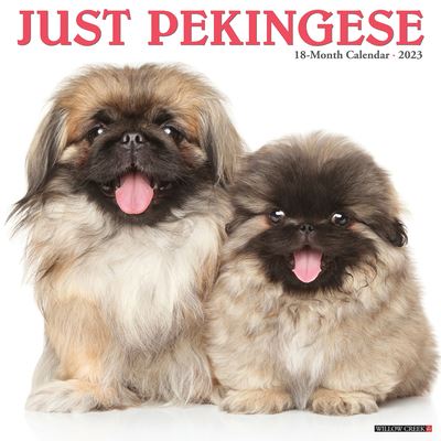 Cover for Willow Creek Press · Just Pekingese 2023 Wall Calendar (Book) (2022)