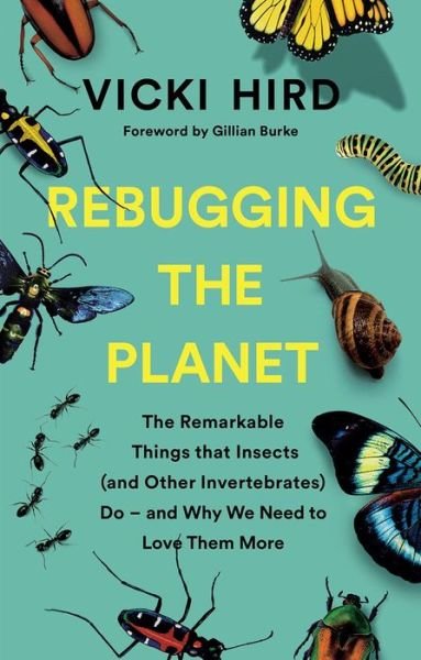 Cover for Vicki Hird · Rebugging the Planet: The Remarkable Things that Insects (and Other Invertebrates) Do - And Why We Need to Love Them More (Paperback Book) (2021)