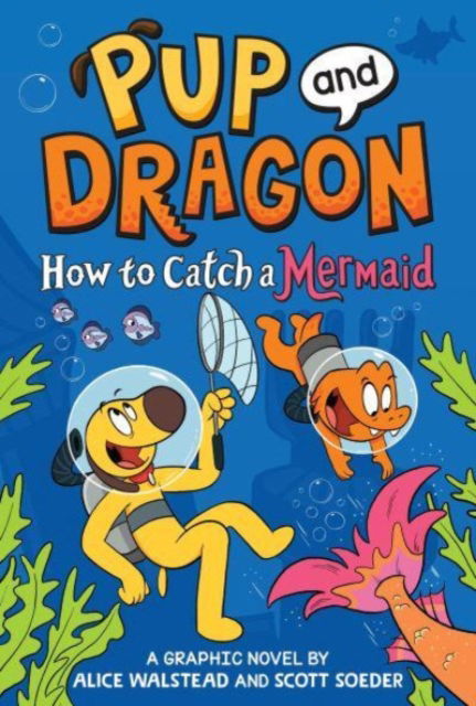 Cover for Alice Walstead · How to Catch Graphic Novels: How to Catch a Mermaid - How to Catch Graphic Novels (Hardcover Book) (2025)