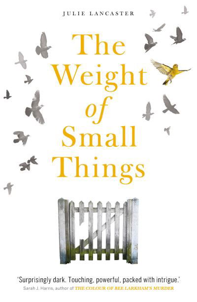 The Weight of Small Things - Julie Lancaster - Books - Mirror Books - 9781913406189 - August 6, 2020