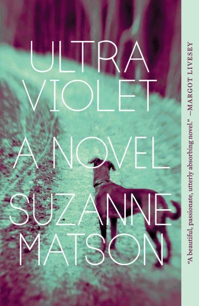 Cover for Suzanne Matson · Ultraviolet: A Novel (Paperback Book) (2019)
