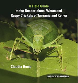 Cover for Claudia Hemp · Field Guide to the Bushcrickets, Wetas and Raspy Crickets of Tanzania and Kenya (Book) (2024)