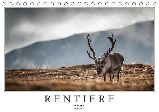 Cover for Worm · Rentiere (Tischkalender 2021 DIN A (Buch)