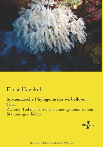 Cover for Ernst Haeckel · Systematische Phylogenie der wirbellosen Tiere: Zweiter Teil des Entwurfs einer systematischen Stammesgeschichte (Pocketbok) [German edition] (2019)