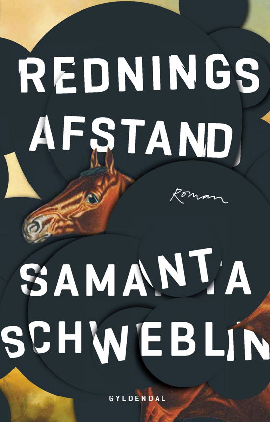 Cover for Samanta Schweblin · Redningsafstand (Hæftet bog) [2. udgave] (2022)