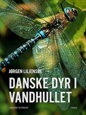 Cover for Jørgen Liljensøe · Danske dyr i vandhullet (Hæftet bog) [1. udgave] (2019)