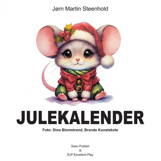 Cover for Jørn Martin Steenhold · Julekalender (Paperback Book) (2024)